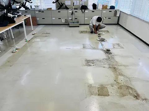 安定した正社員雇用
